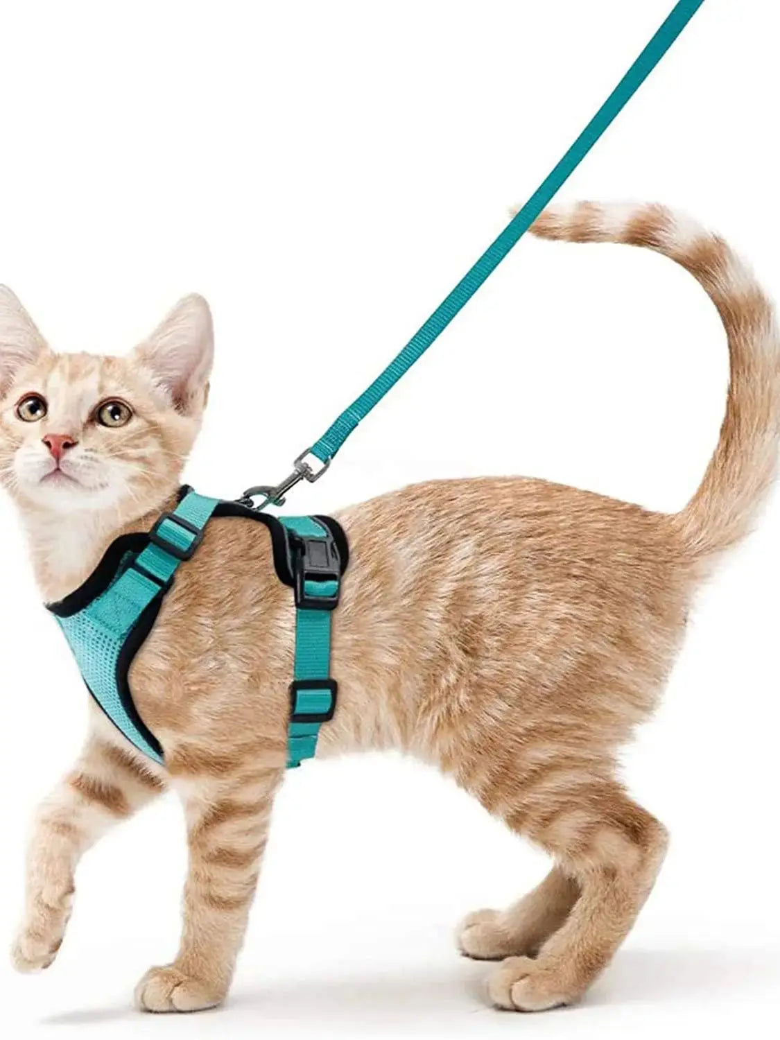 Escape-Proof Cat Harness & Leash Set – Soft Adjustable Walking Vest for Cats