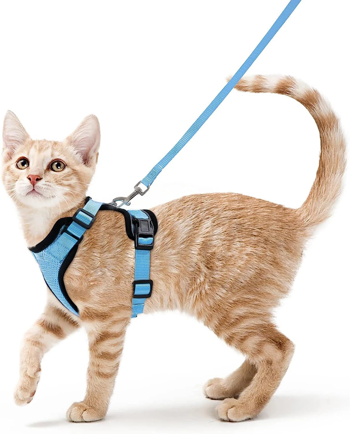 Escape-Proof Cat Harness & Leash Set – Soft Adjustable Walking Vest for Cats