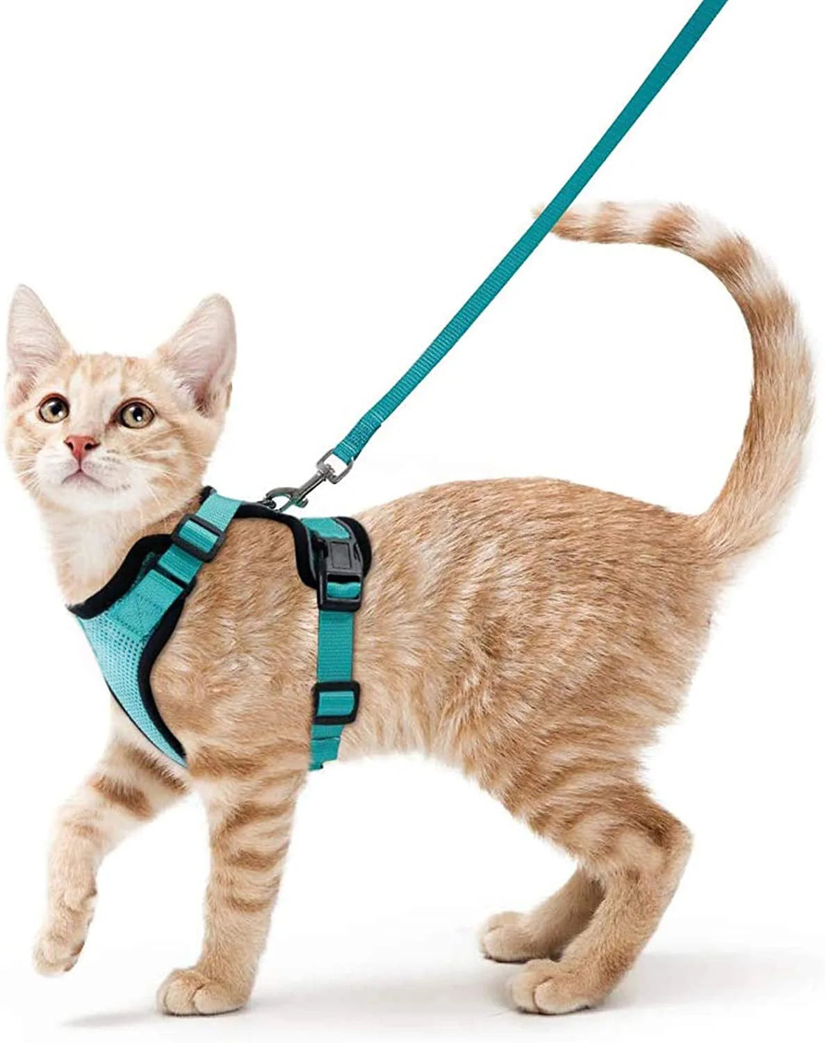 Escape-Proof Cat Harness & Leash Set – Soft Adjustable Walking Vest for Cats
