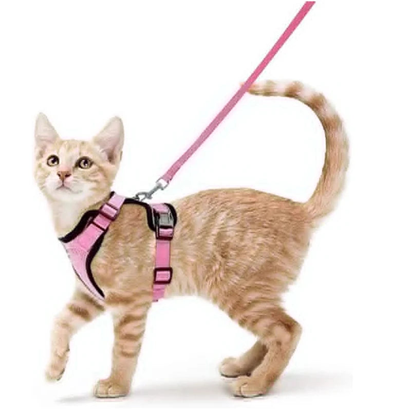 Escape-Proof Cat Harness & Leash Set – Soft Adjustable Walking Vest for Cats