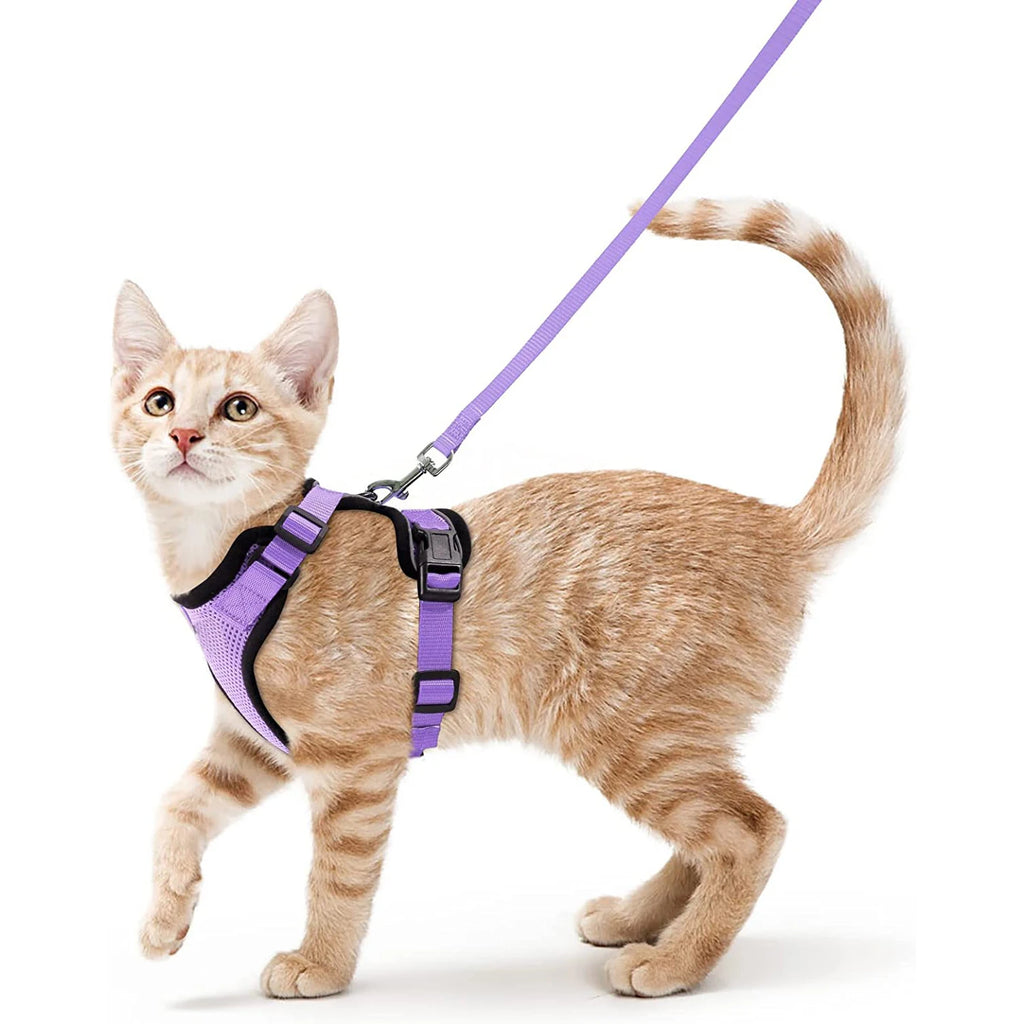 Escape-Proof Cat Harness & Leash Set – Soft Adjustable Walking Vest for Cats