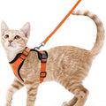 Escape-Proof Cat Harness & Leash Set – Soft Adjustable Walking Vest for Cats