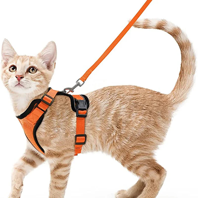 Escape-Proof Cat Harness & Leash Set – Soft Adjustable Walking Vest for Cats