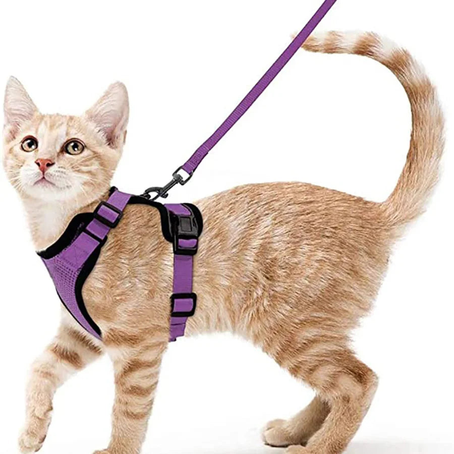Escape-Proof Cat Harness & Leash Set – Soft Adjustable Walking Vest for Cats