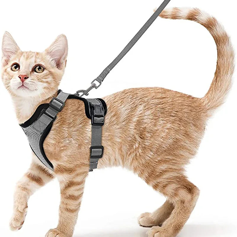 Escape-Proof Cat Harness & Leash Set – Soft Adjustable Walking Vest for Cats