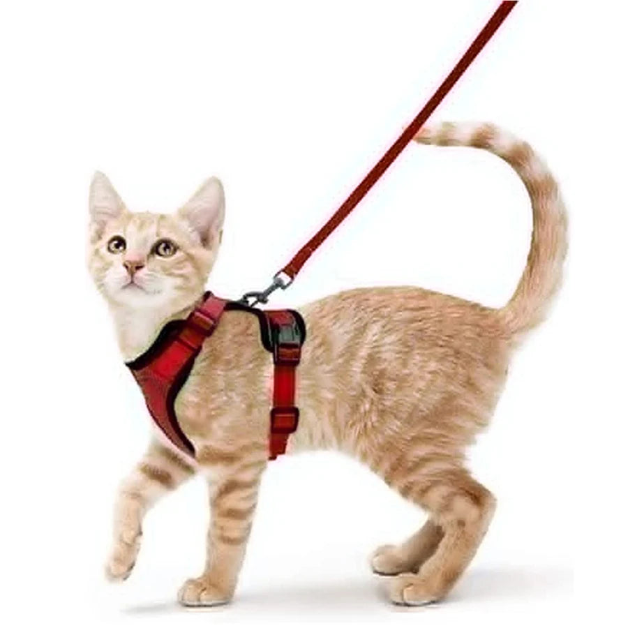 Escape-Proof Cat Harness & Leash Set – Soft Adjustable Walking Vest for Cats
