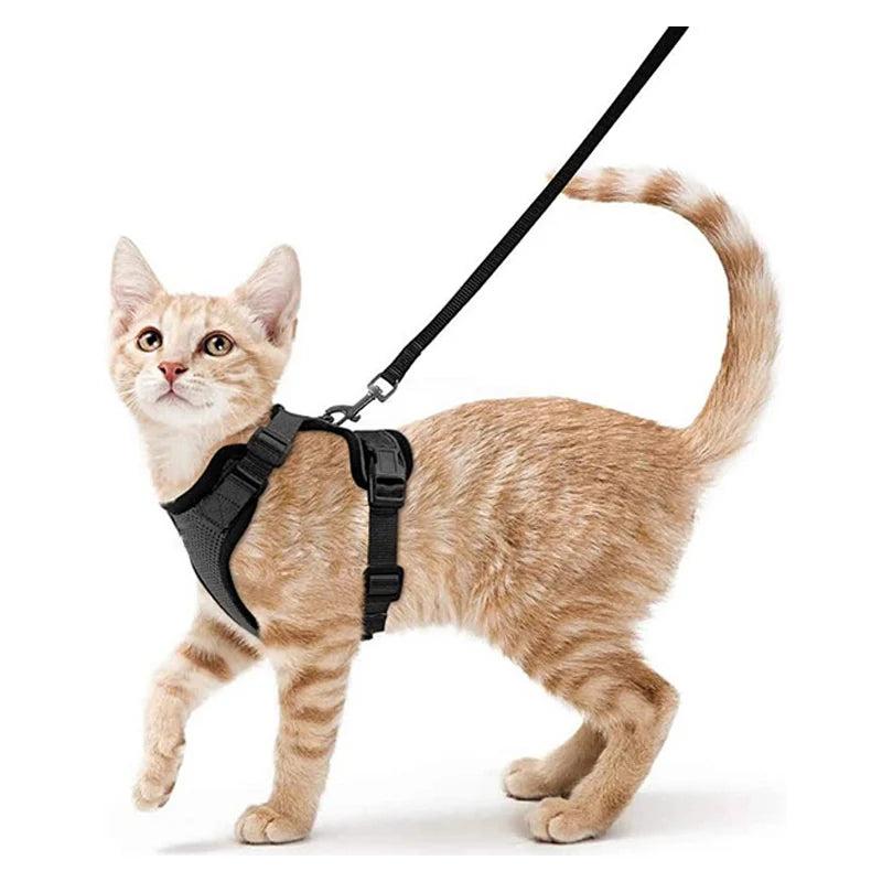 Escape-Proof Cat Harness & Leash Set – Soft Adjustable Walking Vest for Cats